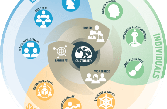 Business Agility Coaching